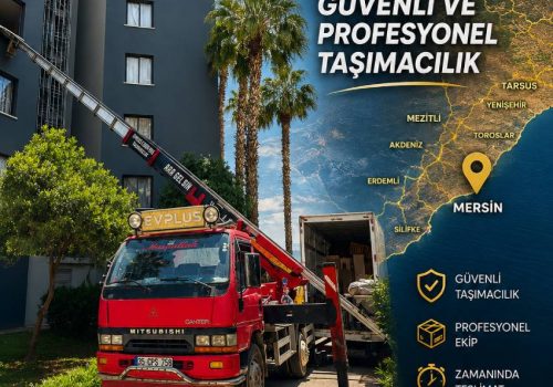 asansörlü taşıma evplus